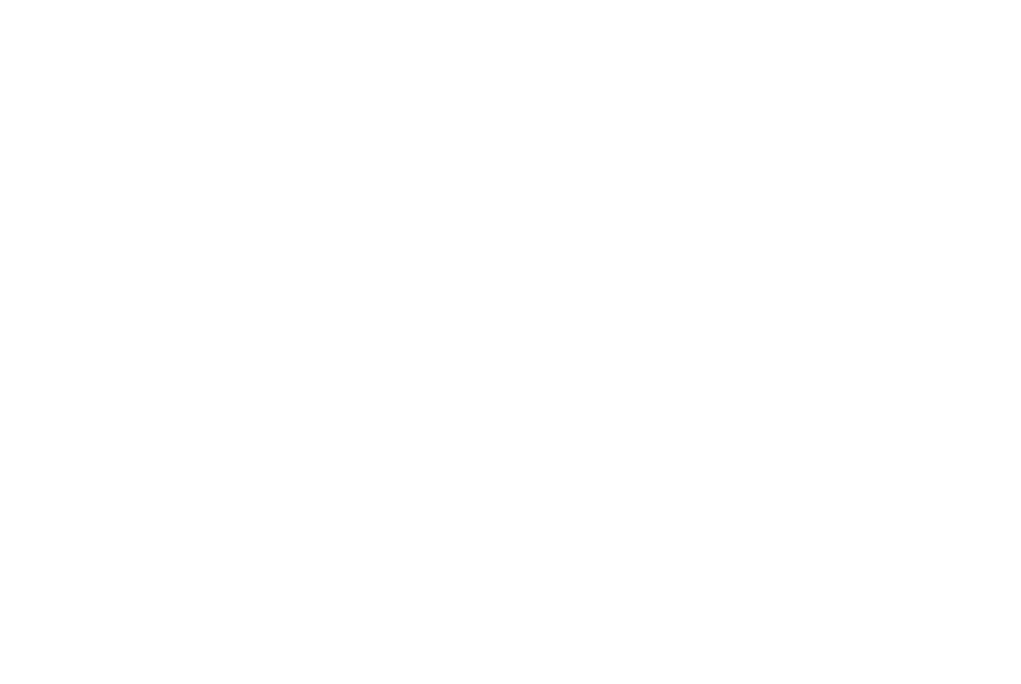 Altitude Logo